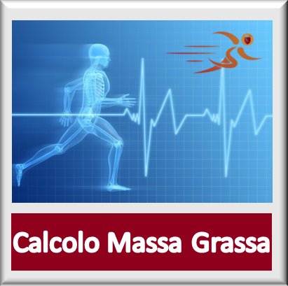 calcolo massa grassa, imc, metabolismo basale