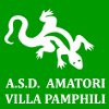 A.S.D. AMATORI VILLA PAMPHILI