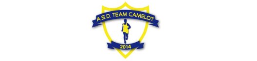 asd-team-camelot