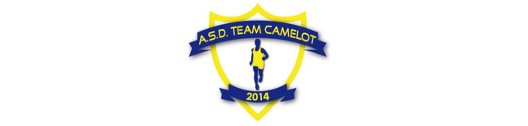 TEAM CAMELOT